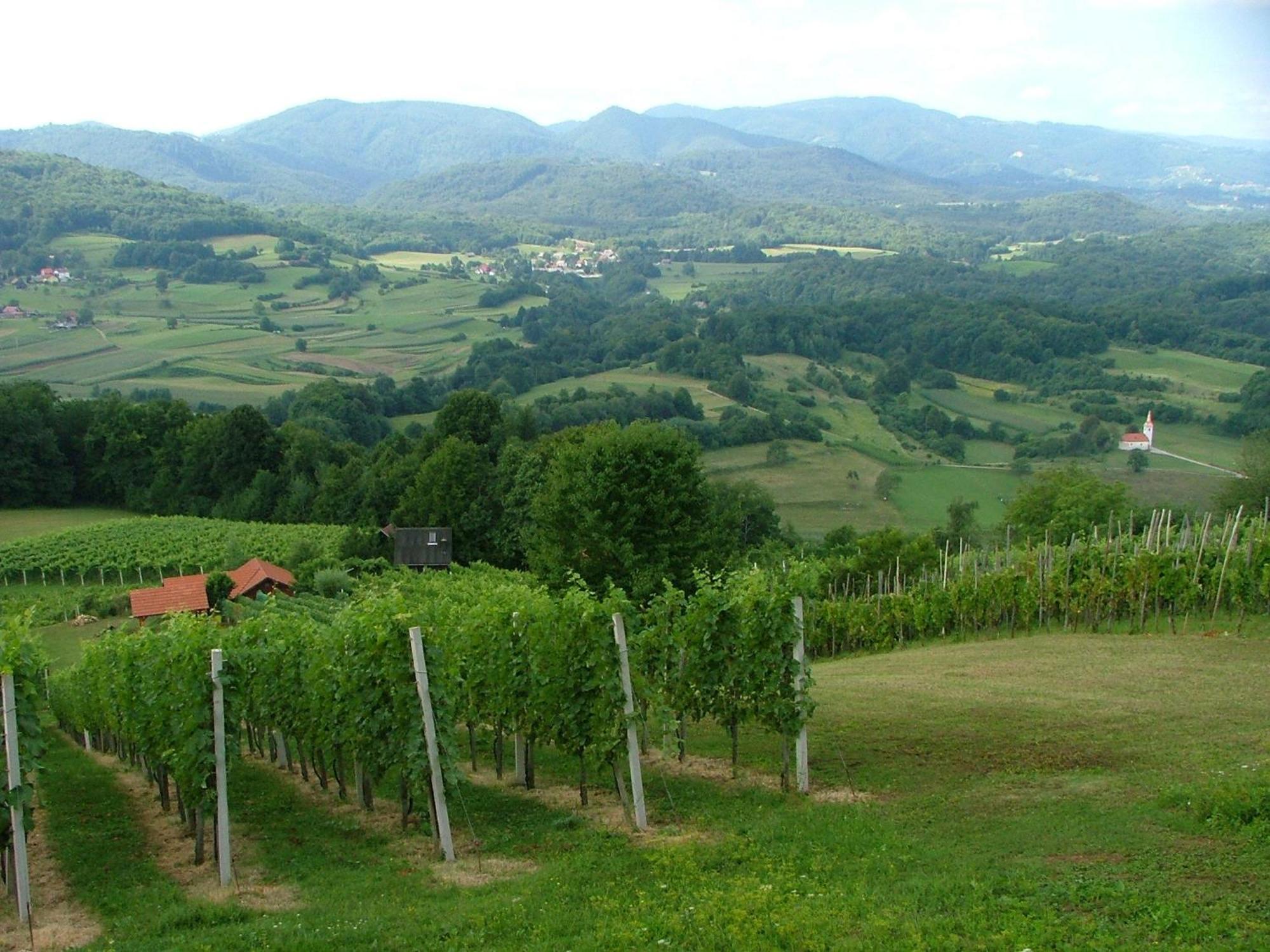 Villa Tourist Farm Pri Martinovih Krška Vas Exterior foto