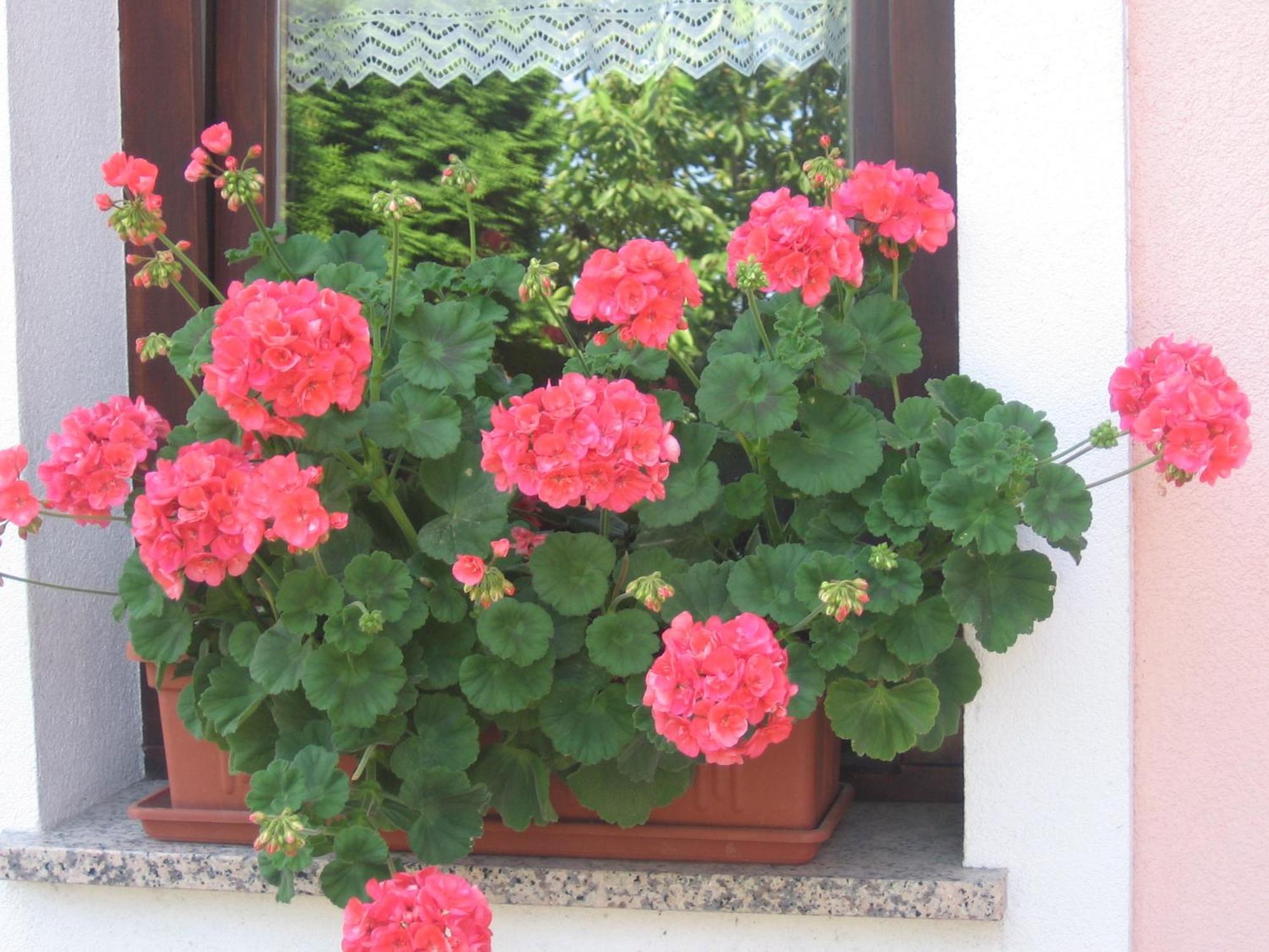 Villa Tourist Farm Pri Martinovih Krška Vas Exterior foto